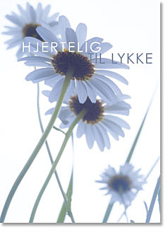 Telegram, Marguritter